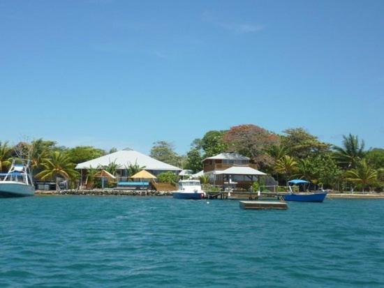 Wikkid Resort Dixon Cove Екстер'єр фото