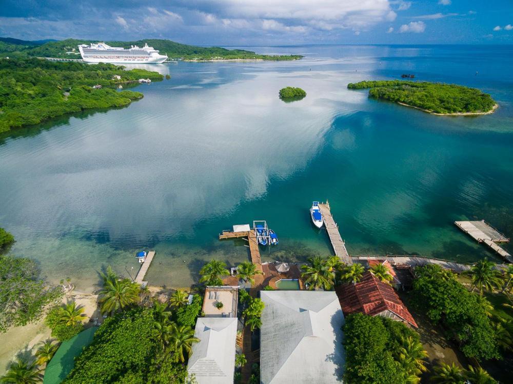 Wikkid Resort Dixon Cove Екстер'єр фото